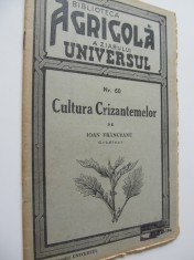 Cultura crizantemelor , 1936 - Ioan Vranceanu foto