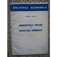 IMBUNATATIRILE FUNCIARE IN AGRICULTURA ROMANEASCA CORNEL IRIMIE