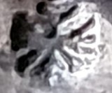 Jucarie veche colectie, camion + remorca transport auto + 4 autovehicule incluse: ambulanta, pompieri, pick-up, autoservice, MF 868 China, anii &#039;60-70