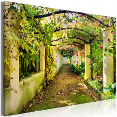 Tablou canvas - Pergola larga - 90 x 60 cm foto