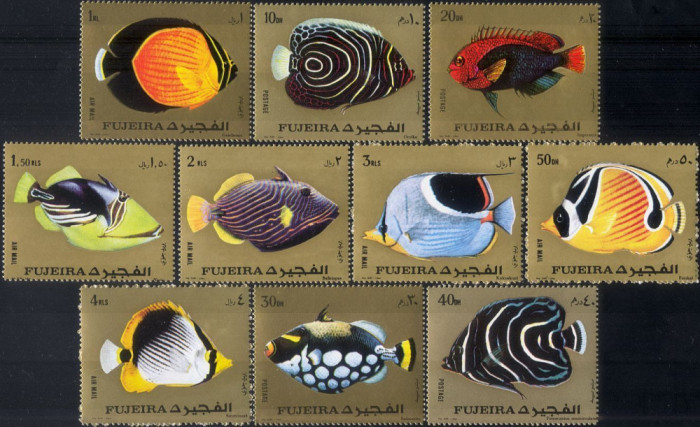 242-FUJEIRA-1972-PESTI-VIATA marina-Serie completa de 10 timbre nestampilate