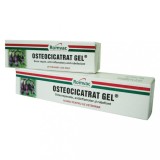 Osteocicatrat Gel, 50 g