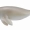 Figurina Dugong L Collecta