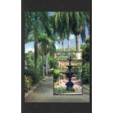 BRITISH VIRGIN ISLANDS 2009 GRADINA BOTANICA