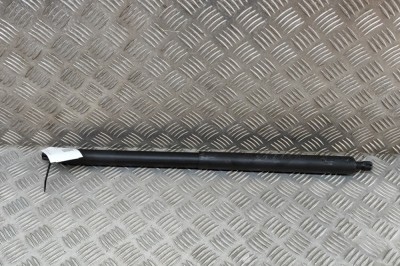 Amortizor haion dreapta TESLA MODEL Y 2023 OEM: 1500602-00-A 22266220 foto