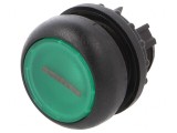 Comutator Verde 22mm IP67