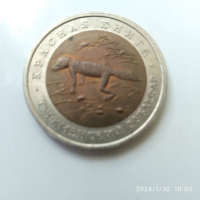 -Y- MONEDA RUSIA 50 RUBLE 1993 - FAUNA SOPARLA - BIMETAL foto