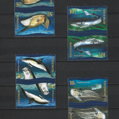 ROMANIA 2022 - FAUNA PROTEJATA DIN MAREA NEAGRA, TETE-BECHE, MNH - LP 2366