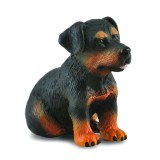 Figurina Catelus Rottweiler - Collecta