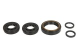 Cumpara ieftin Set de garnituri diferentiale Fata pentru HONDA TRX 420/500 2012-2022