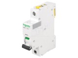 &Icirc;ntrerupător de Supracurent 6A 1P 230V C