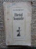 BIETUL IOANIDE-GEORGE CALINESCU