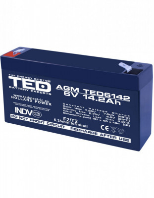 Acumulator stationar 6V 14,2Ah F2 AGM VRLA TED Electric TED6142 foto