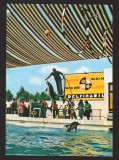 CPIB 22330 - CARTE POSTALA - CONSTANTA. DELFINARIU, DELFINUL COMUN, NECIRCULATA