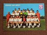 Foto fotbal - DINAMO BUCURESTI