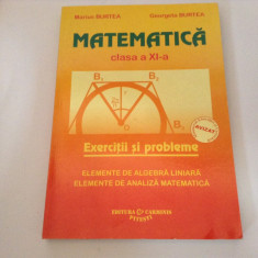 Matematica clasa a XI-a. Exercitii si probleme- Marius Burtea, Georgeta Burtea