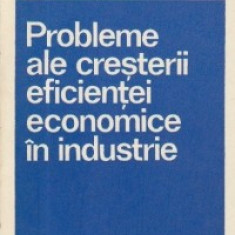 Probleme ale cresterii eficientei economice in industrie