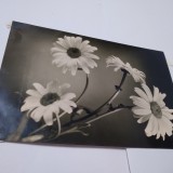 Cumpara ieftin CARTE POSTALA RUSEASCA FELICITARE CIRCULATA