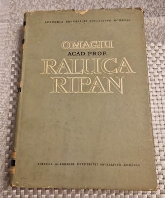 Omagiu lui Raluca Ripan foto