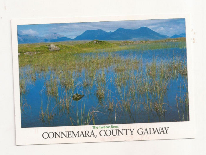 FA28-Carte Postala- IRLANDA - Connemara, CO, Galway, circulata 2014