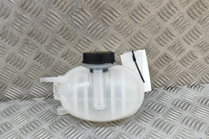 Vas de expansiune FORD USA Mustang Mach-E 2023 OEM: LJ93-8A080-AC | 24540004