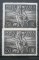 CV2 1948 VATICAN - 1