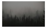 Tablou Canvas, "Ceața misterioasă din pădurea deasă", Ceață, Pădure, Mister, &Icirc;ntunecime, Tăcere, Natură, Enigmă, Umbre, V&acirc;rfuri, Melancolie, 39 x 26 c