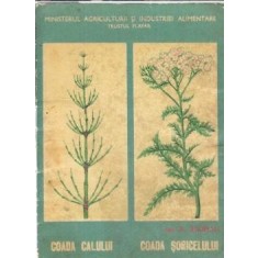 Coada calului. Coada soricelului - A. Agopian