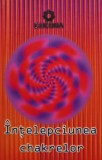 Cumpara ieftin Intelepciunea chakrelor - 2004 (@C323)
