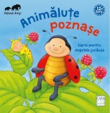 Animalute poznase - Casa