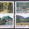 Noua Zeelanda 1975 natura paduri MI 657-660 MNH