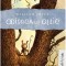 Odiseea lui Ollie, William Joyce