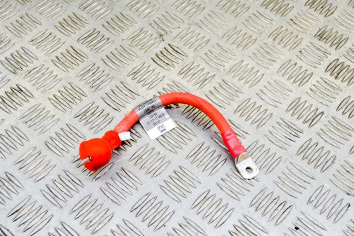 Cablu baterie pozitiv JAGUAR F-TYPE Coupe X152 2018 OEM: JX53-14300-DA 12216277