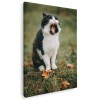 Tablou pisica cascand Tablou canvas pe panza CU RAMA 30x40 cm