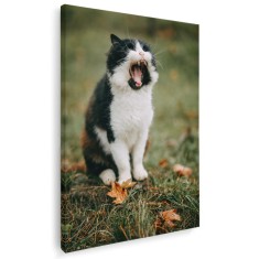 Tablou pisica cascand Tablou canvas pe panza CU RAMA 20x30 cm