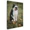 Tablou pisica cascand Tablou canvas pe panza CU RAMA 30x40 cm