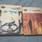 ASCENSIUNEA LUI SILAS LAPHAM-HOWELLS VOL 1+2