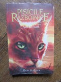 Pisicile Razboinice Vol.12: Apus de soare - Erin Hunter
