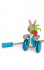 Jucarie de impins Peter Rabbit&trade;, Orange Tree Toys