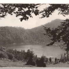 CPIB 15815 CARTE POSTALA - TUSNAD. LACUL CIUCAS, RPR