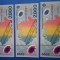 Eclipsa anul 2000 , grup de trei bacnote necirculate , pentru colectie