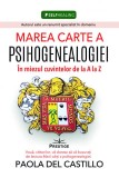 Marea Carte A Psihogenealogiei. In Miezul Cuvintelor De La A La Z - Paola Del Castillo