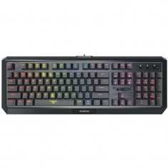 Tastatura gaming Gamdias Hermes P3 Iluminare RGB Mecanica Negru foto