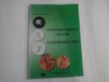 ANATOMIA OMULUI CAP SI GAT LUCRARI PRACTICE - G. LUPU-BOGDAN CRISTEA, LAURA STROICA, BOGDAN DIACONESCU