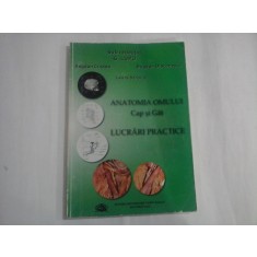 ANATOMIA OMULUI CAP SI GAT LUCRARI PRACTICE - G. LUPU-BOGDAN CRISTEA, LAURA STROICA, BOGDAN DIACONESCU