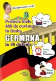 Primele mele 480 de cuvinte in limba Germana in 40 de teme - Prestige