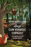 Auzi cum vorbesc copacii? - Publica