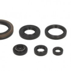 Set garnituri motor compatibil: SUZUKI RM 250 1989-1993