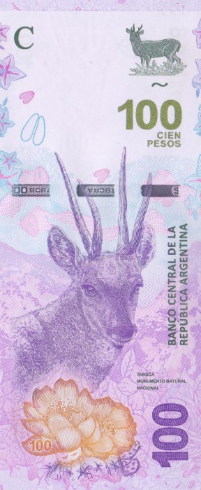 Bancnota Argentina 100 Pesos (2018) - P363A UNC