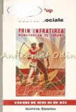 Obsesii Sociale - Doru Pop, Eseuri Sociologie, Editura Institutul European, 1998, 161 pagini, ISBN 973-611-001-X